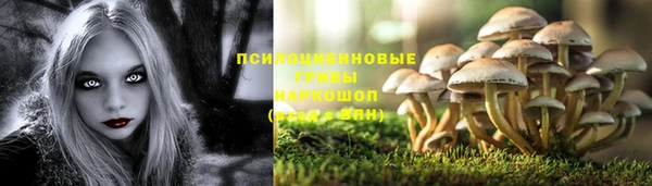 герыч Абинск