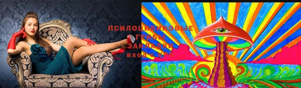 герыч Абинск